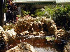 Rock Pond