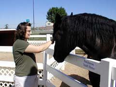 Crystal and a horse