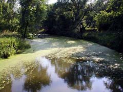 Big Blue River