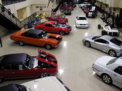 Exotic Cars